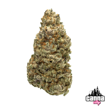 Buy Buds Amnesia