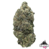 StarDawg