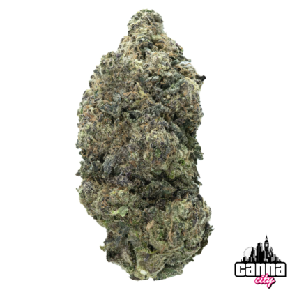 Buy Buds Stardawg