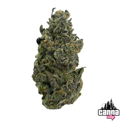 Buy Buds Northern Lights