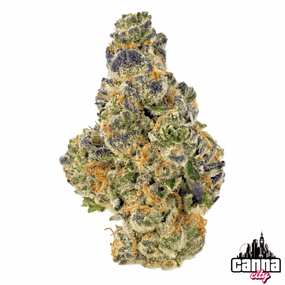 Buy Buds Purple Punch