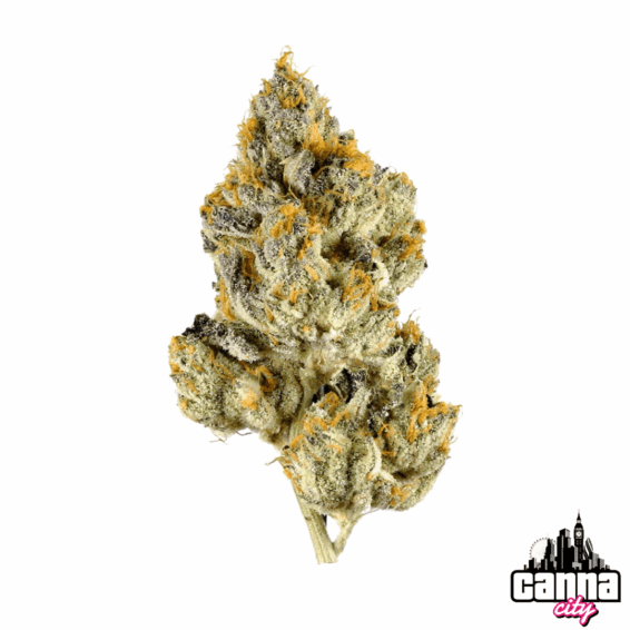 Buy Buds Zkittlez