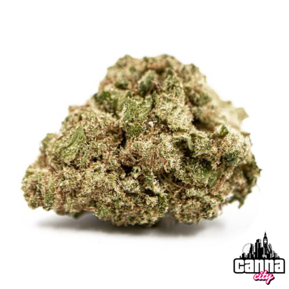 Buy Buds Pavé