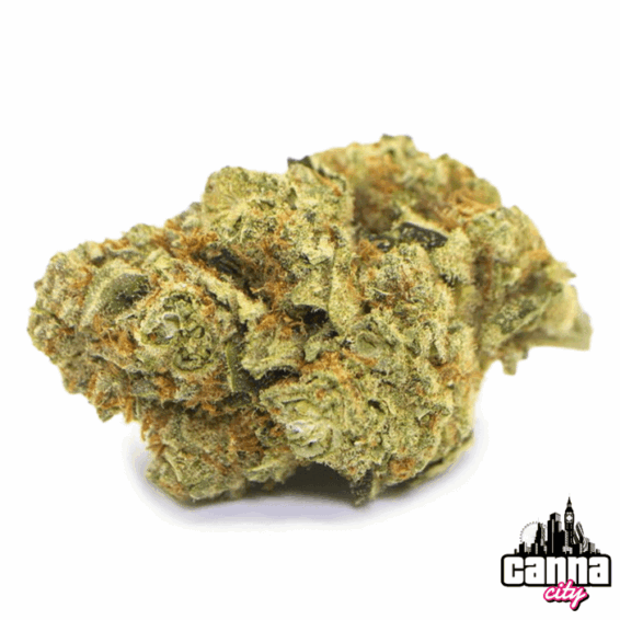 Buy Buds GasFace O.G.