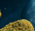 Moon Rocks: An Exceptional Cannabis Concentrate