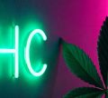 THC: The Primary Active Ingredient in Cannabis