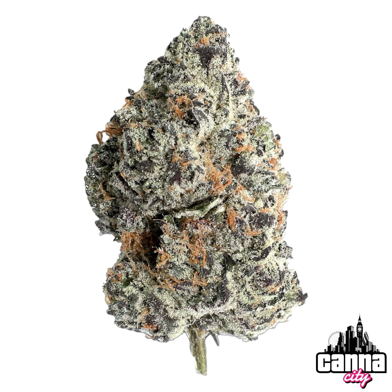 Buy Buds Morelato